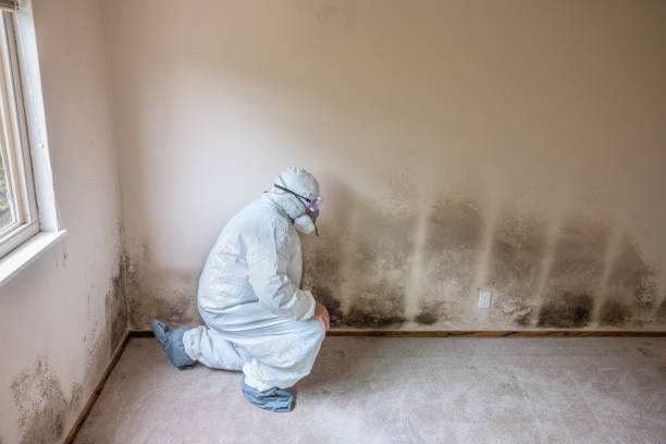 Best Certified Mold Removal  in Middle River, MD