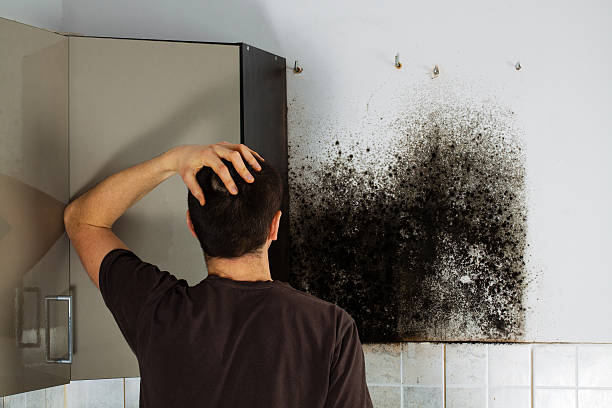 Best Attic Mold Removal  in Middle River, MD
