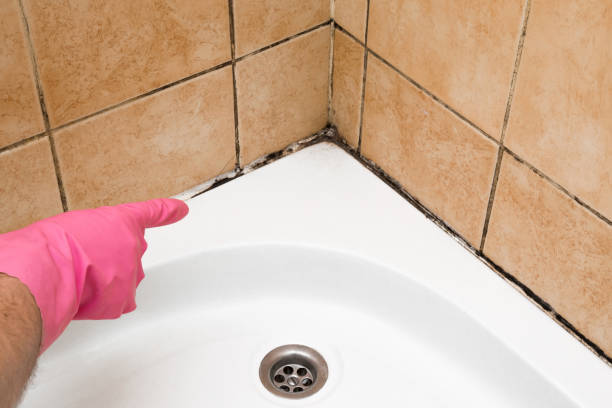 Best Residential Mold Removal  in Middle River, MD